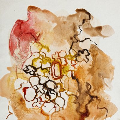 RUGGIERO DI LOLLO CARTE 11